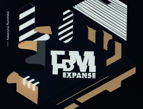 FDM Expanse – wystawa indywidualna Katarzyny Rumińskiej w Piwnicy PodCieniami
