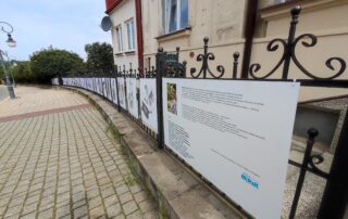 widok na wystawę wzdłuż ulicy Piłsudskiego